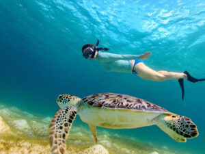 snorkeling to gili trawangan